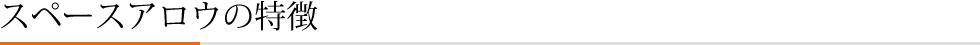 スペースアロウの特徴