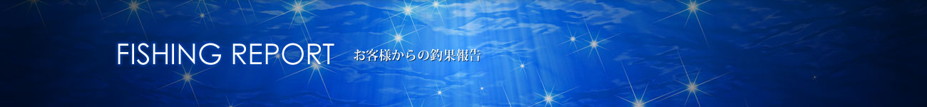 お客様からの釣果報告